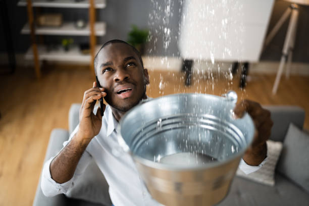 Best Local water damage restoration  in Lake Elsinore, CA