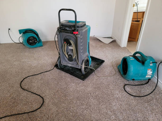 Best Water damage restoration insurance claims  in Lake Elsinore, CA