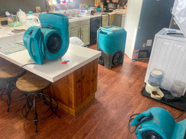 Best Carpet water damage restoration  in Lake Elsinore, CA