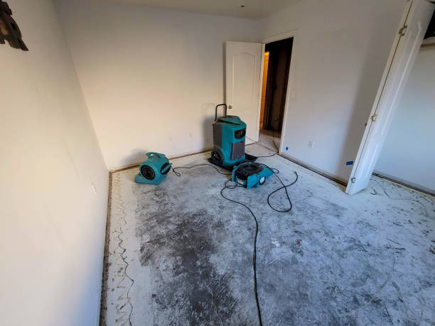 Best Water damage restoration specialists  in Lake Elsinore, CA