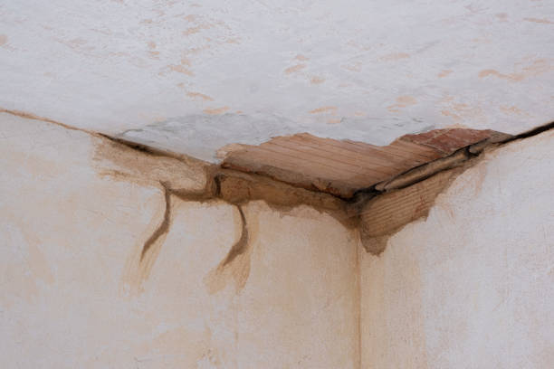 Best Ceiling water damage repair  in Lake Elsinore, CA