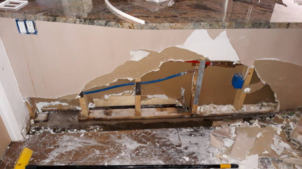 Best Carpet water damage restoration  in Lake Elsinore, CA