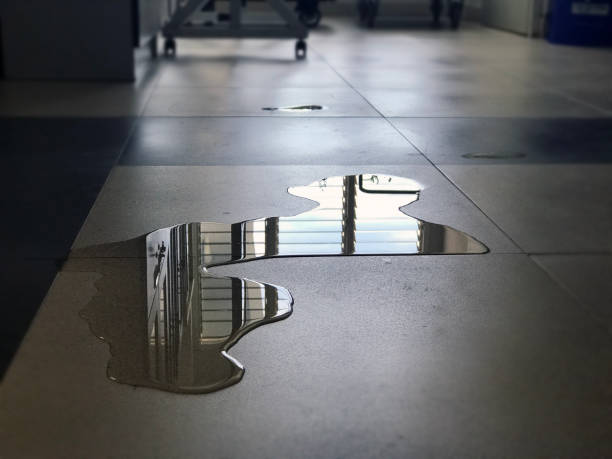 Best Local water damage restoration  in Lake Elsinore, CA