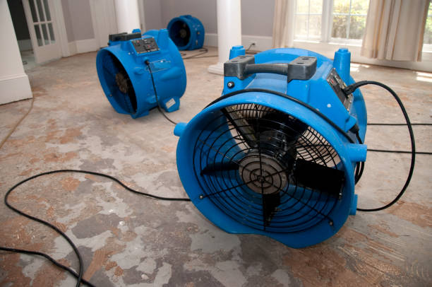 Best Mold removal after water damage  in Lake Elsinore, CA