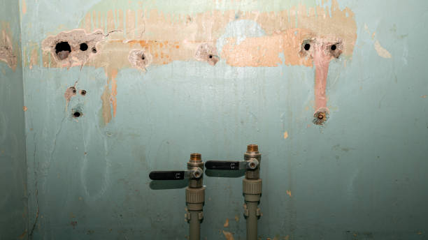 Best Water damage restoration near me  in Lake Elsinore, CA